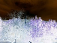 /album/la-bobila-de-viladecans/efectos-bobila-jpg/